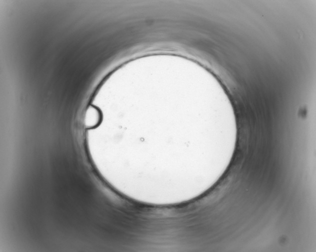 X0000103171519200809192105