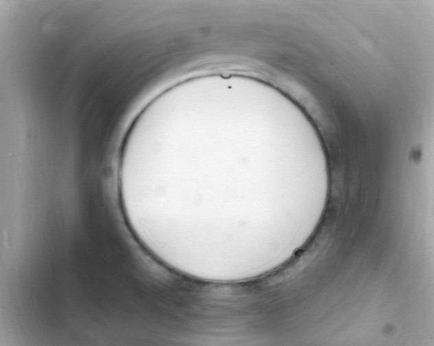 X0000103171520200809192105