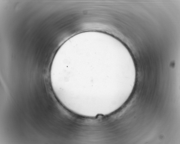 X0000103171521200809192105