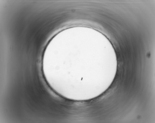 X0000103171523200809192105