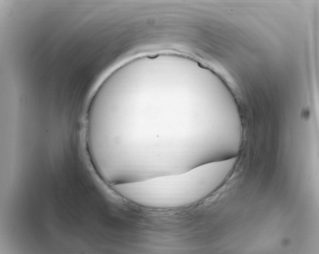 X0000103171524200809192105