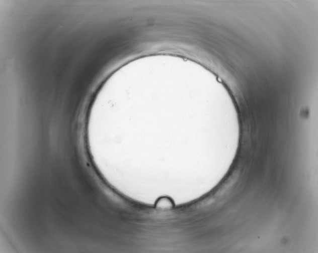 X0000103171525200809192105