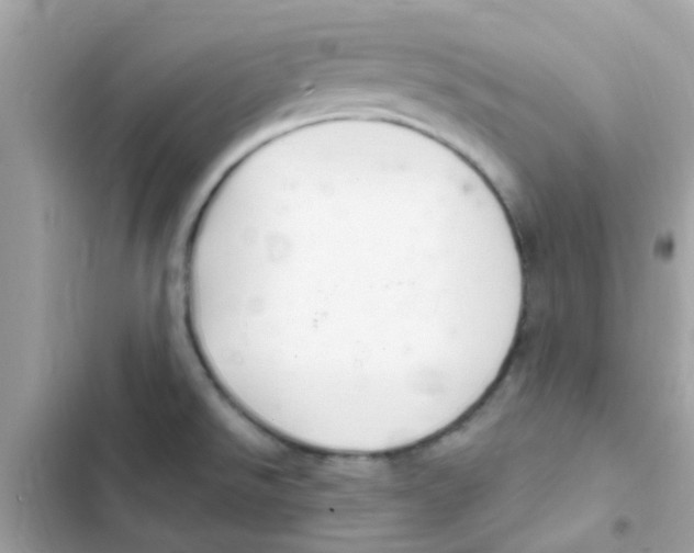 X0000103171526200809192105