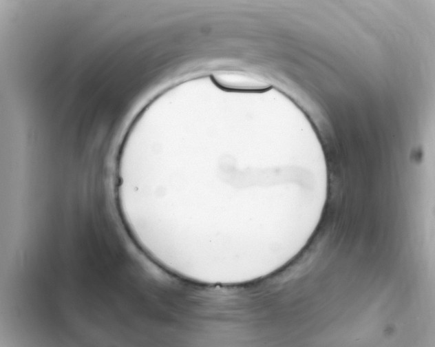 X0000103171527200809192105