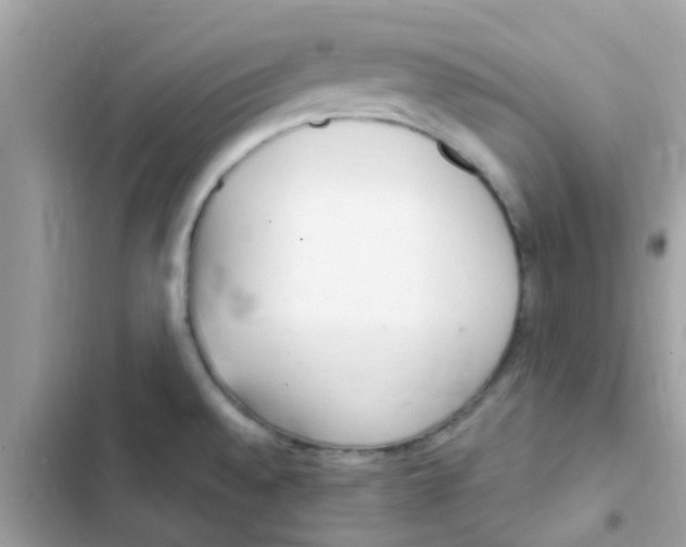 X0000103171528200809192105