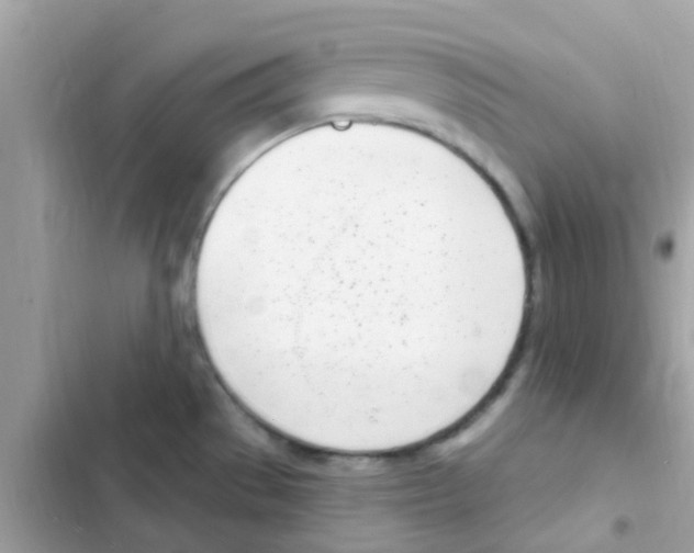 X0000103171529200809192105