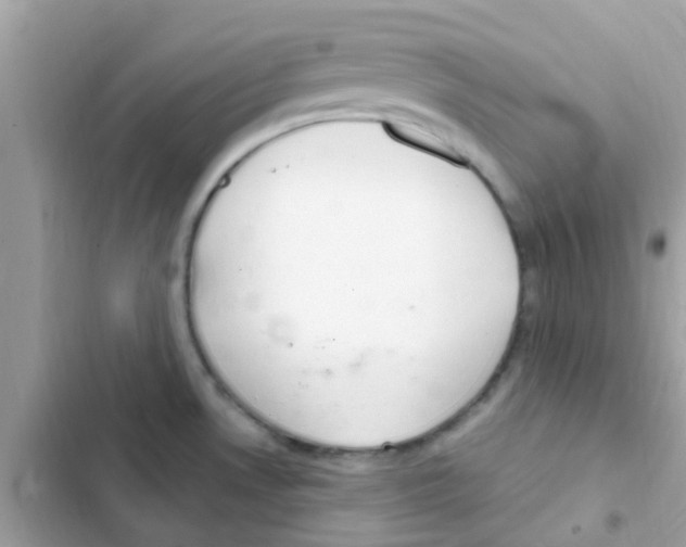 X0000103171530200809192105