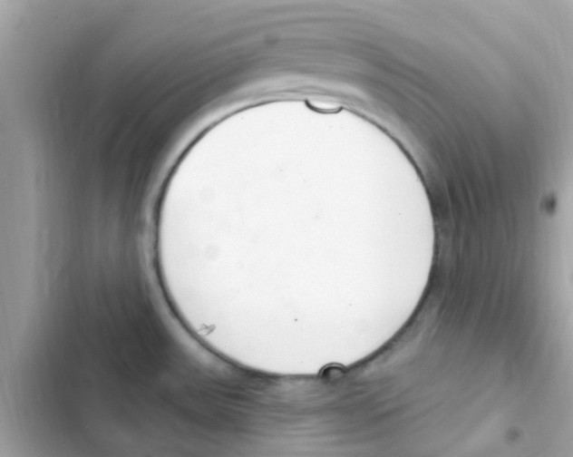 X0000103171531200809192105