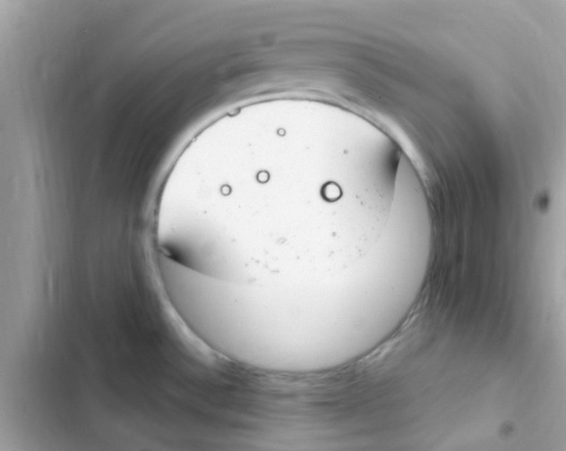 X0000103171532200809192105