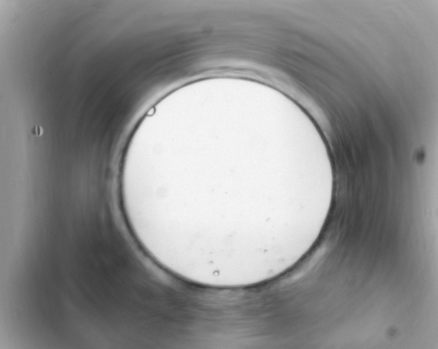 X0000103171533200809192105