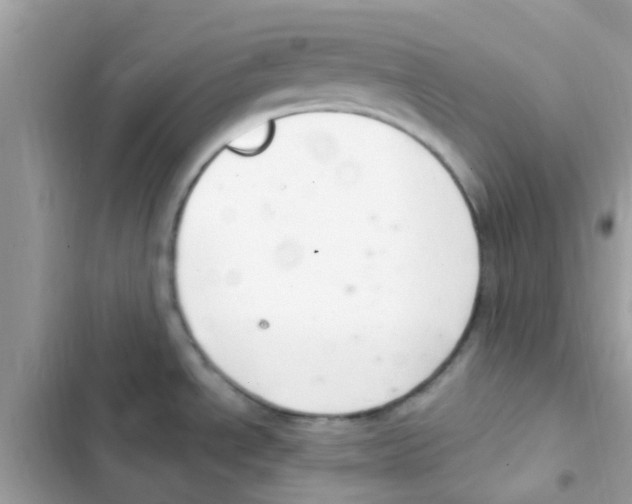 X0000103171534200809192105