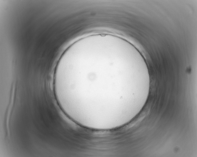 X0000103171535200809192105