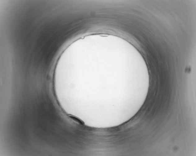 X0000103171536200809192105