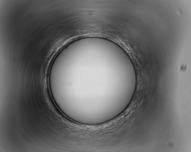 X0000103220002200808280937
