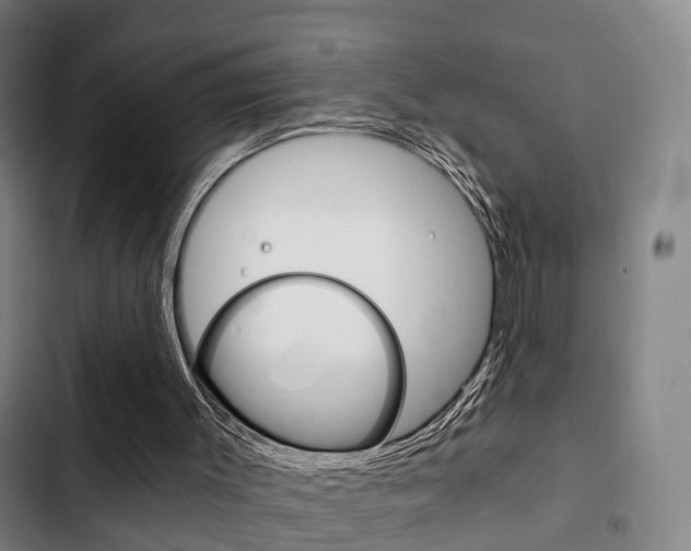 X0000103220003200808280937
