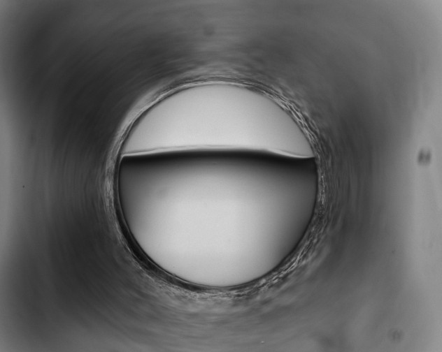 X0000103220004200808280937