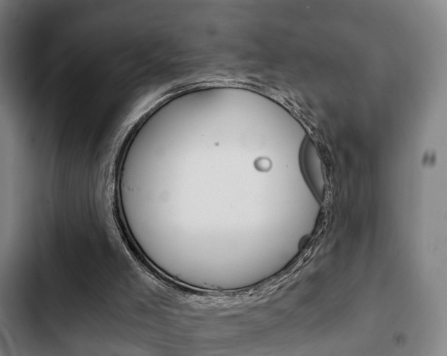 X0000103220005200808280937