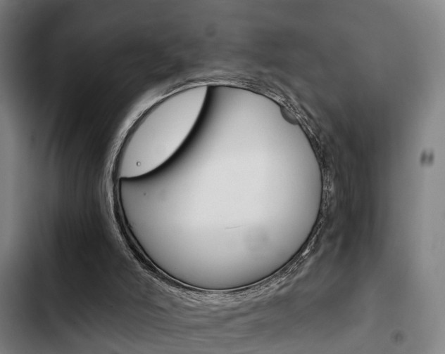 X0000103220006200808280937