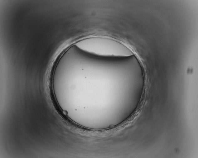 X0000103220007200808280937