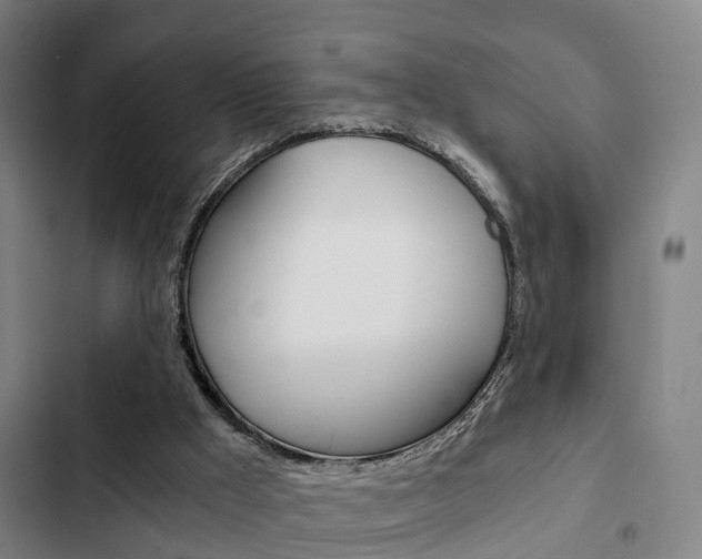X0000103220009200808280936