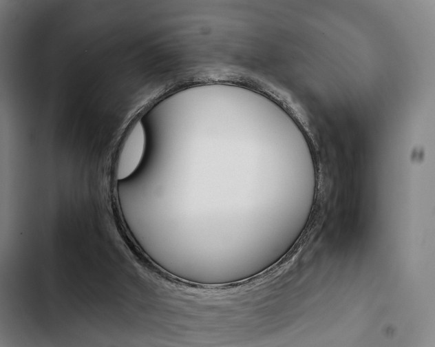X0000103220010200808280936