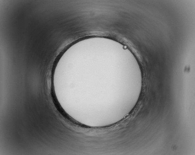 X0000103220011200808280936