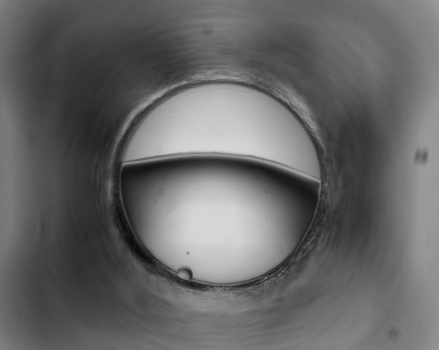 X0000103220012200808280936