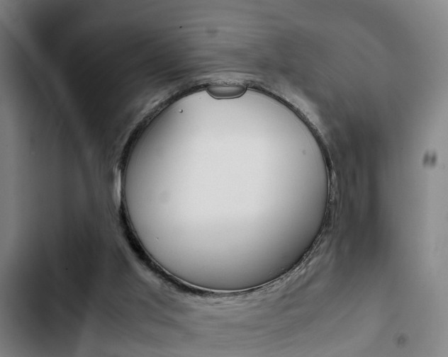 X0000103220013200808280936