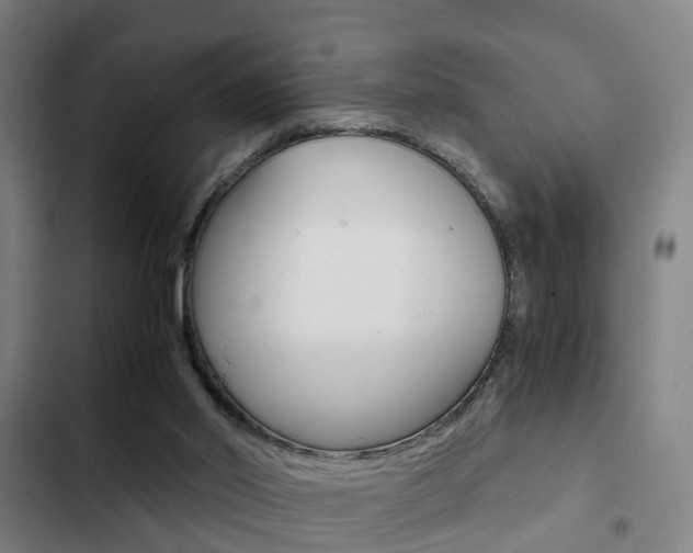 X0000103220014200808280936
