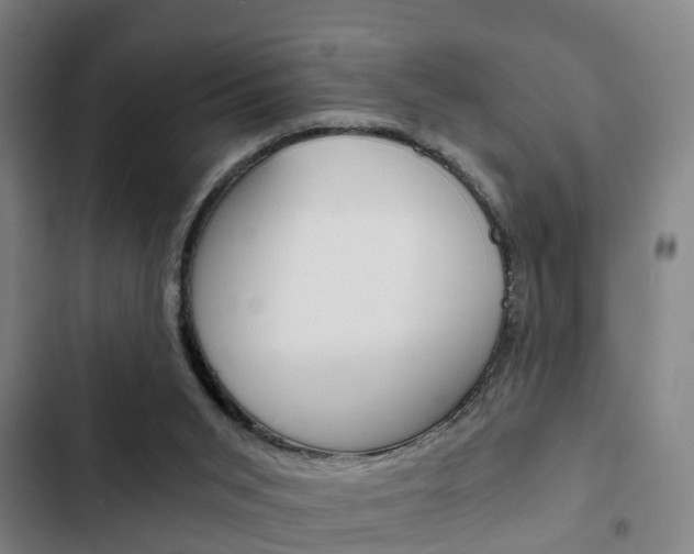 X0000103220015200808280936