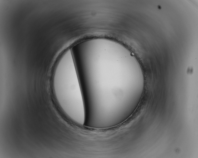 X0000103220016200808280936