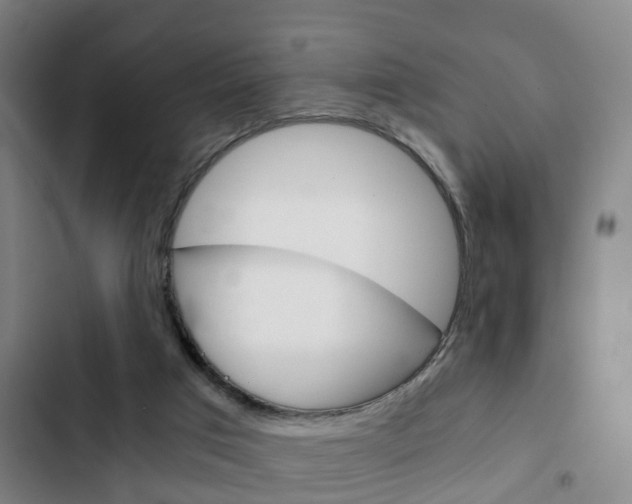 X0000103220017200808280936