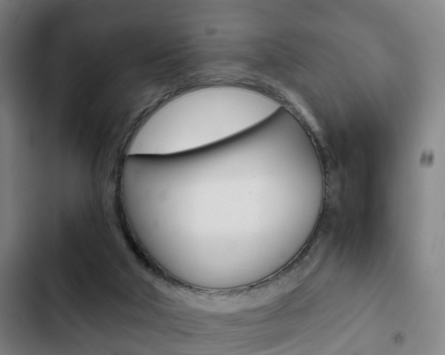X0000103220018200808280936