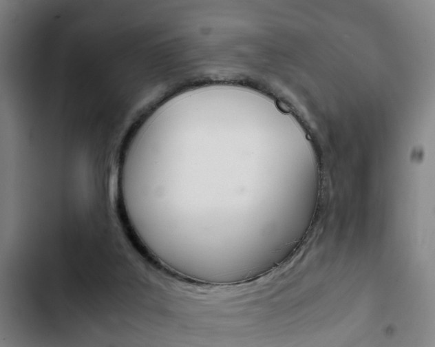 X0000103220019200808280936