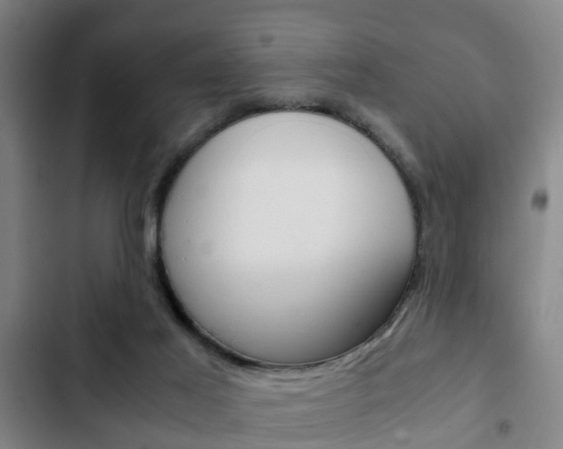 X0000103220021200808280936