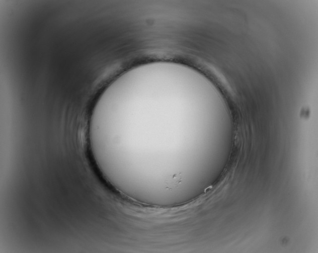 X0000103220023200808280936