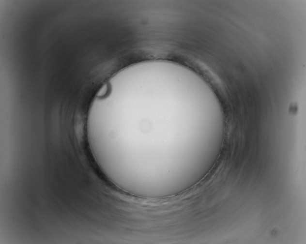 X0000103220026200808280936