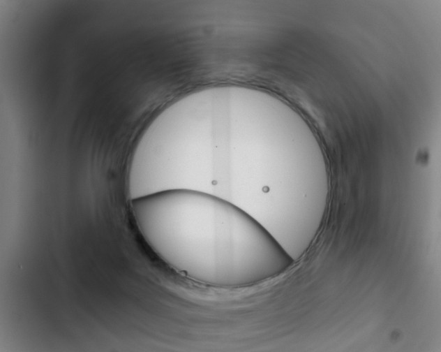 X0000103220027200808280936