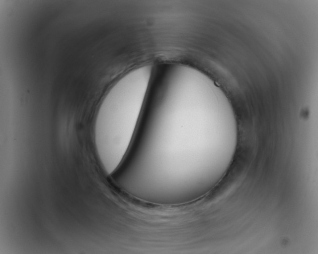 X0000103220028200808280936