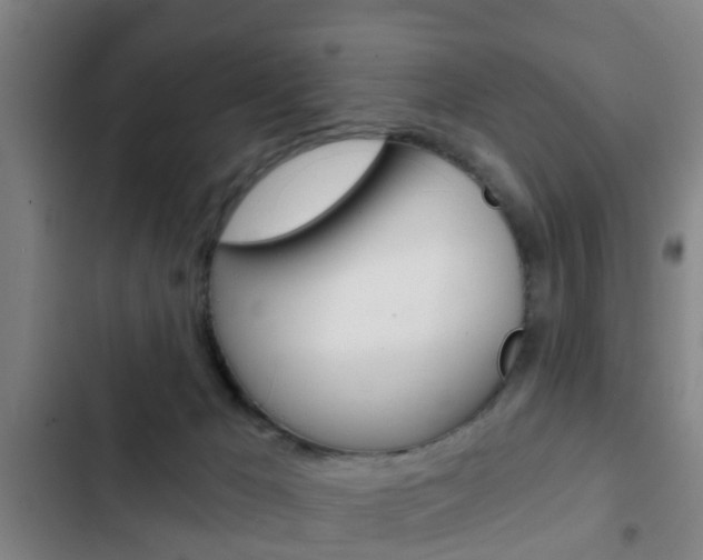 X0000103220029200808280936