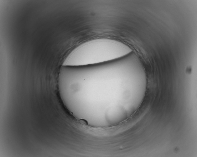 X0000103220030200808280936