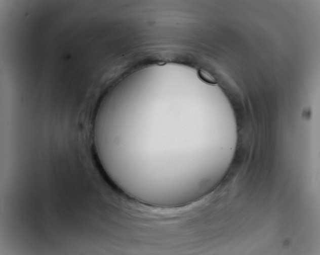 X0000103220031200808280936