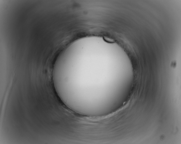 X0000103220033200808280936
