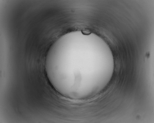 X0000103220034200808280936