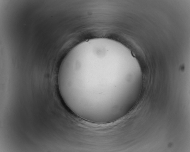 X0000103220035200808280936