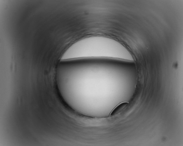 X0000103220036200808280936