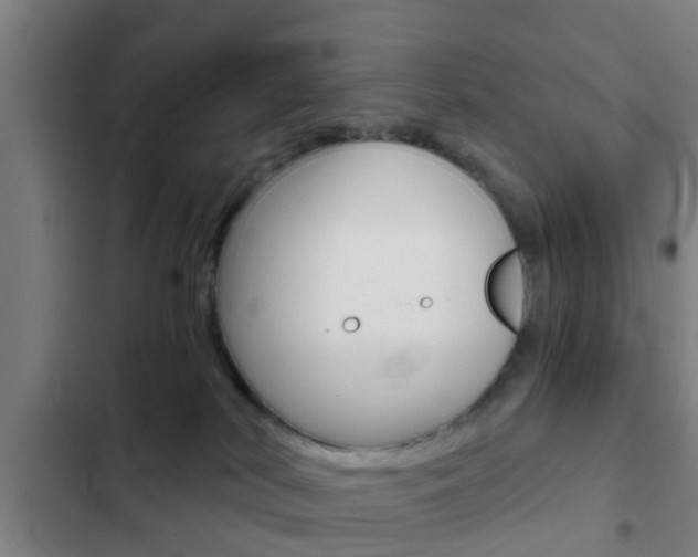 X0000103220038200808280936