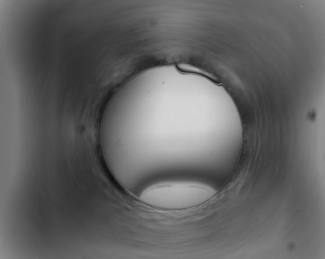 X0000103220039200808280936