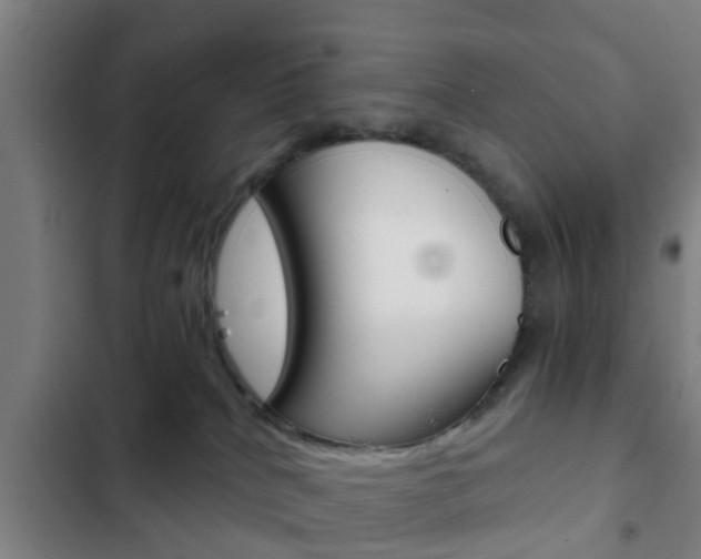 X0000103220040200808280936