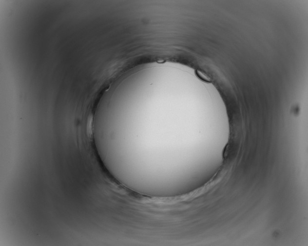 X0000103220041200808280936